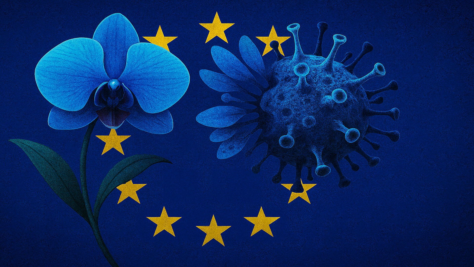 Blue Orchid : l’exercice fantôme de la Commission