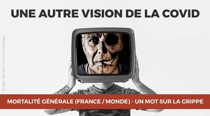 3/40 - MORTALITÉ GÉNÉRALE (FRANCE / MONDE) - UN MOT SUR LA GRIPPE