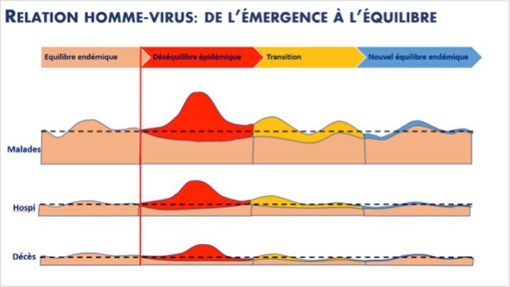 bam-detoxe-vaccination-obligatoire-pour-les-plus-de-55-ans-et-les-immunodeprimes