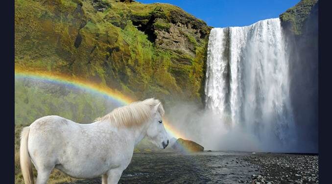 Forcer le cheval à boire ?