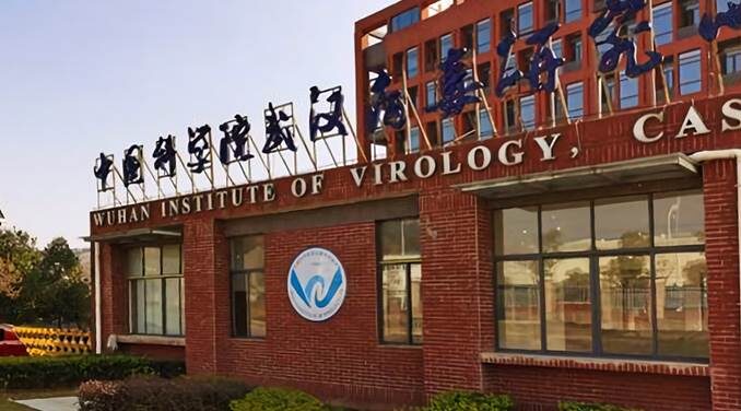 Origines du Covid-19: l’hypothèse d’un accident à l’Institut de virologie de Wuhan relancée après la divulgation de travaux inédits