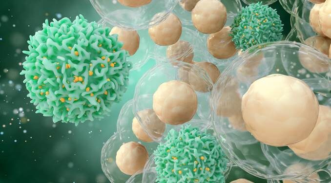 Questions sur l’immunisation et la transmission de SARS-CoV-2