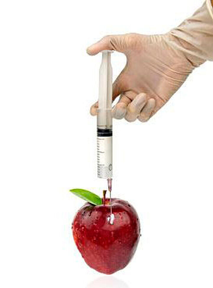 60-ans-apres-le-printemps-silencieux-les-pesticides-ravagent-toujours-notre-environnement
