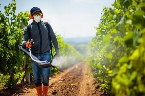 « 60 ans après le Printemps silencieux, les pesticides ravagent toujours notre environnement« 