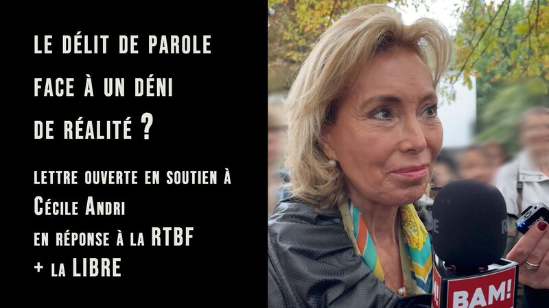 Le délit de parole face à un déni de réalité ?