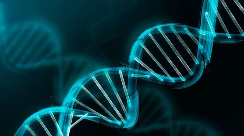 Le vaccin à ARNm altère‑t‑il oui ou non l’ADN ?