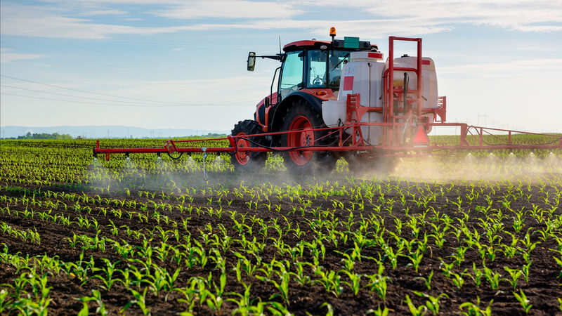 « Les pesticides et le grand effondrement« 