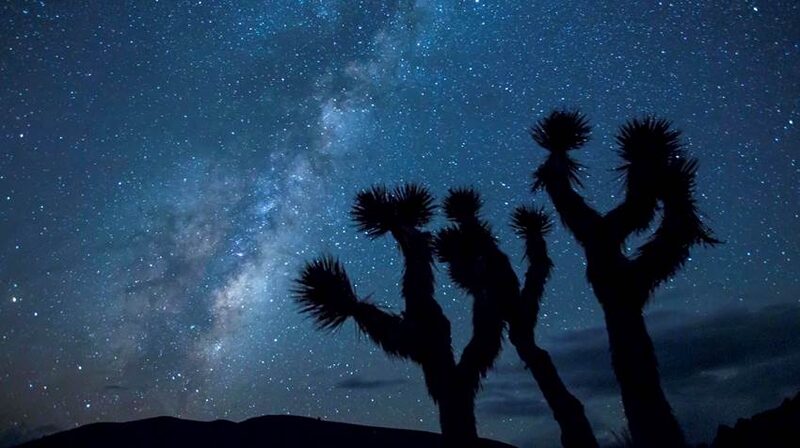 Lettre ouverte à Ecolo, mon ancien parti