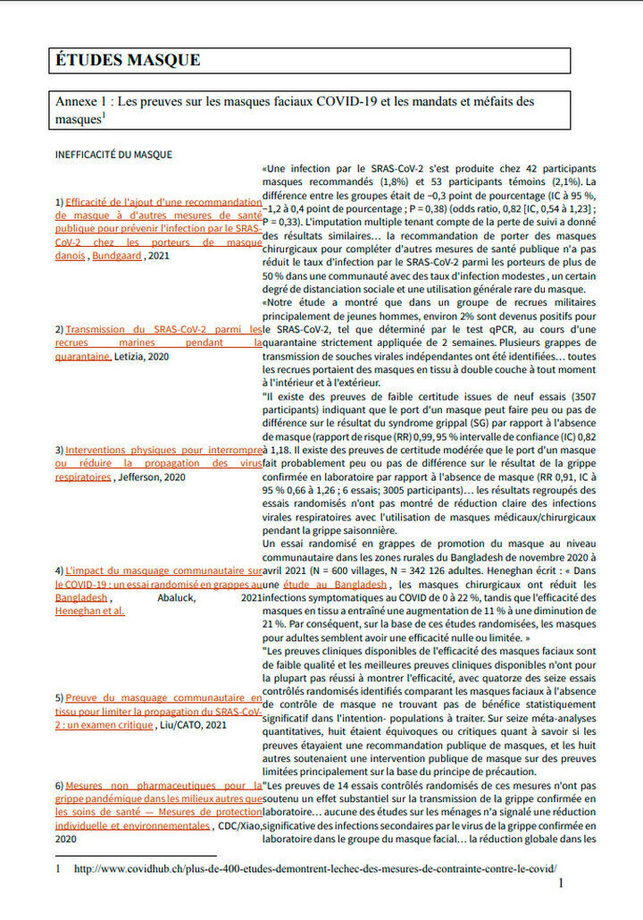 pour-en-finir-avec-les-masques