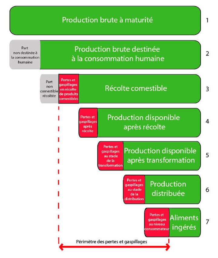 pourquoi-les-sols-sont-ils-si-importants-episode-1
