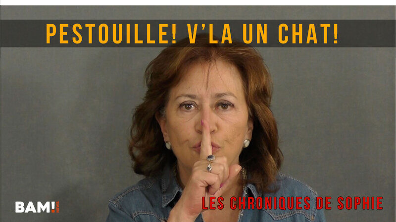 V’là aut’chose - Pestouille ! V’la un chat !