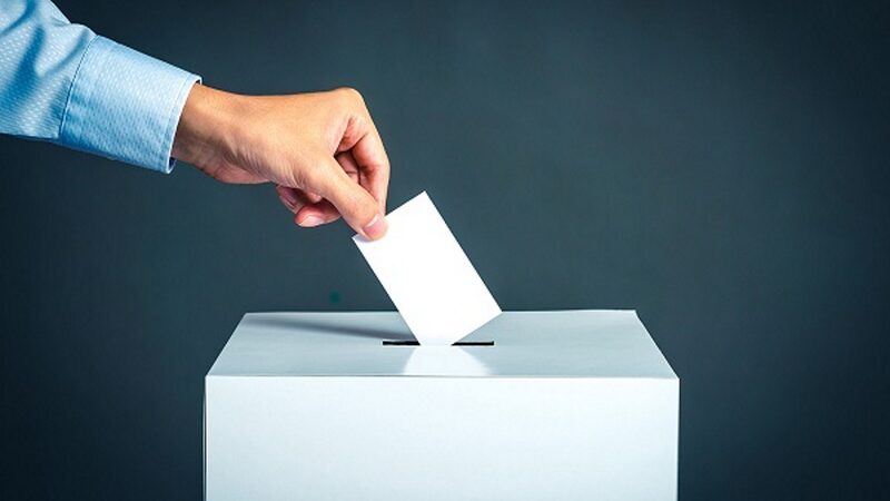 Vous détestez les partis traditionnels?  Voici comment voter pour leur faire mal !