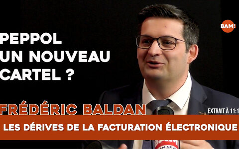 Facturation électronique PEPPOL : un nouveau cartel ?