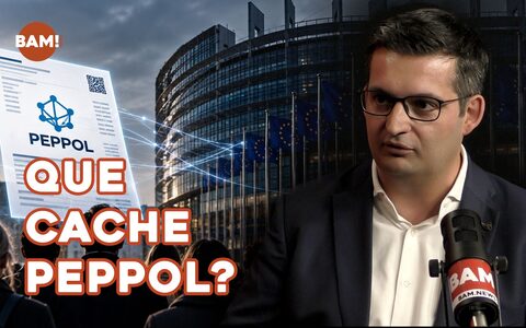 QUE CACHE PEPPOL - Frédéric Baldan