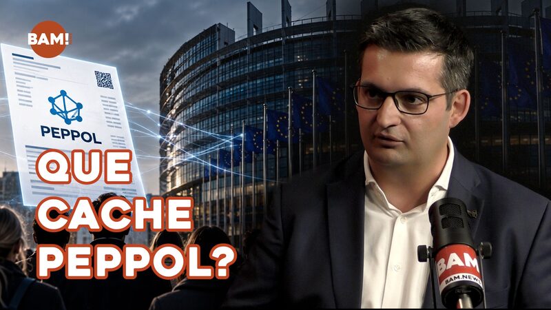 QUE CACHE PEPPOL - Frédéric Baldan