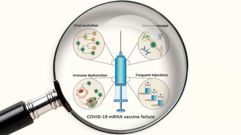 Vaccins ARN : les leçons tirées des essais cliniques et de la campagne de vaccination