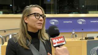 conférence au Parlement Européen sur la restriction des droits fondamentaux dans la pandémie de COVID-19. “Violations des droits de l'homme et des libertés civiles durant la Pandémie de covid-19"