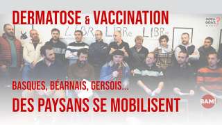 Dermatose & Vaccination: Basques, Béarnais, Gersois… des pays se mobilisent